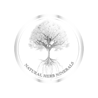 logo1.png